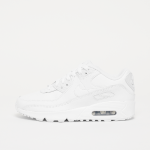 Air Max 90 LTR (GS)