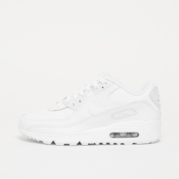 Air Max 90 LTR (GS)