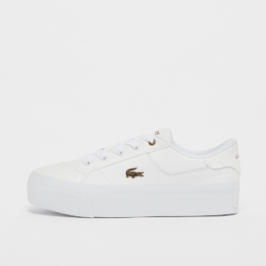 Ziane Platform